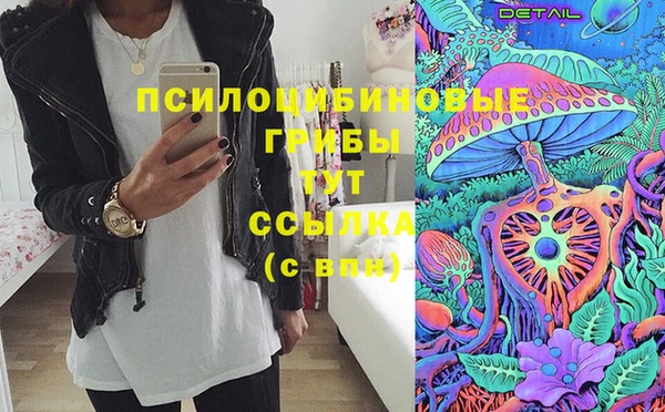соль ск Осинники