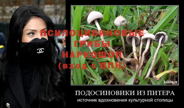 стафф Няндома