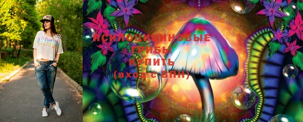 соль ск Осинники