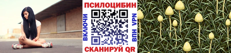 мориарти формула  Калачинск  Галлюциногенные грибы мицелий  где продают наркотики 